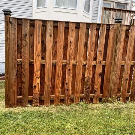 Fence cleaning After