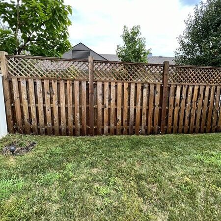Fence Cleaning After