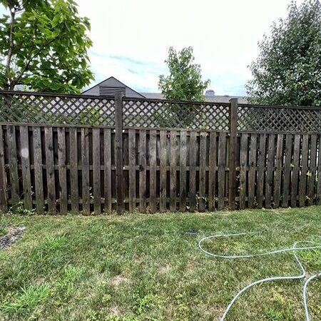 Fence Cleaning before