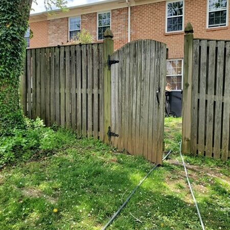 Fence Cleaning before