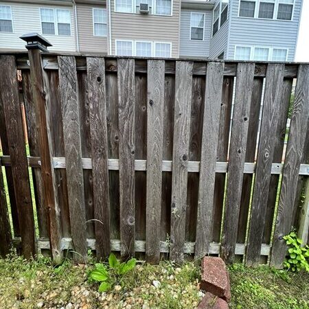 Fence Cleaning before