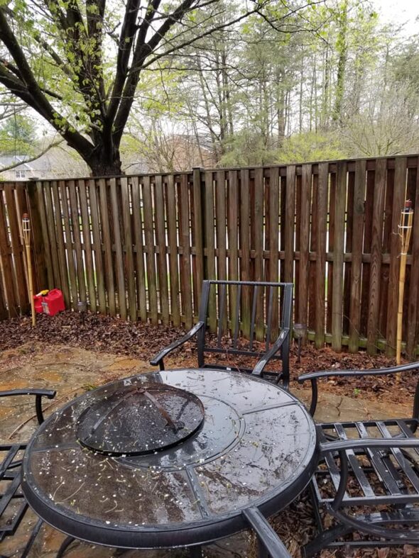Fence Cleaning pressure washing service before