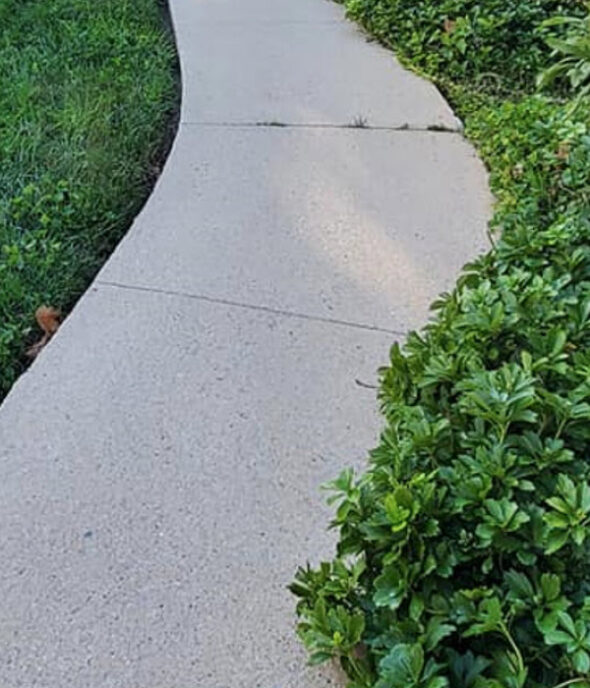 concrete walkway pressure washing services after