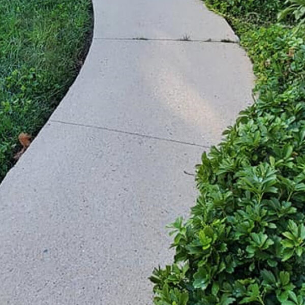 concrete walkway pressure washing services after