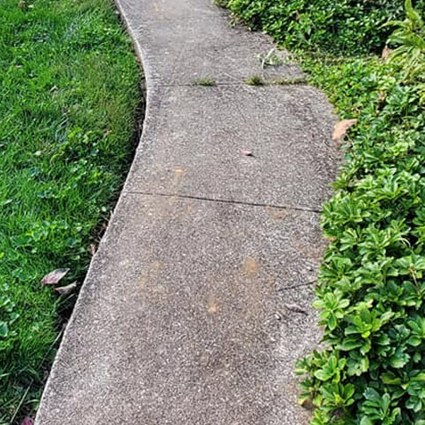 concrete walkway pressure washing services before