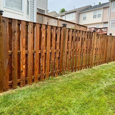 fence cleaning experts