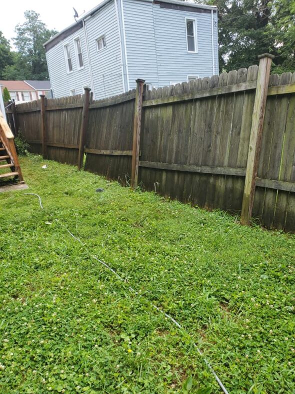 fence cleaning services before