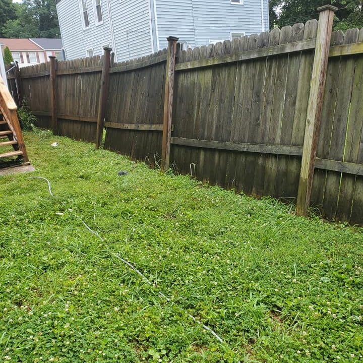fence cleaning services before