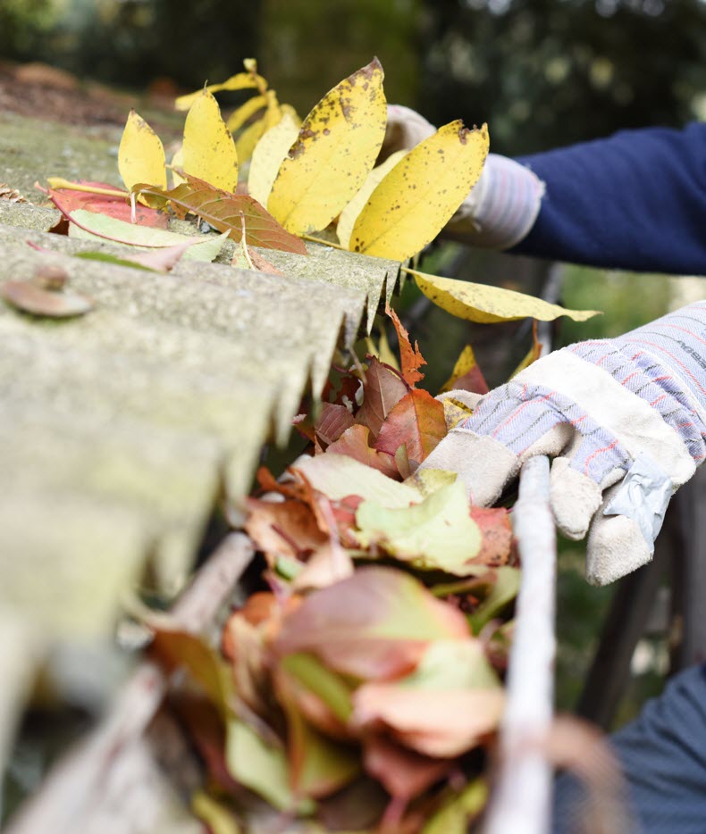 gutter cleaning services owings mills